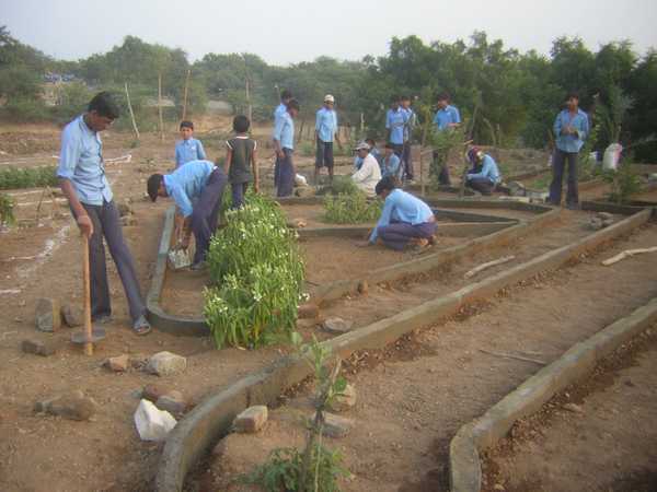 Students plant trees